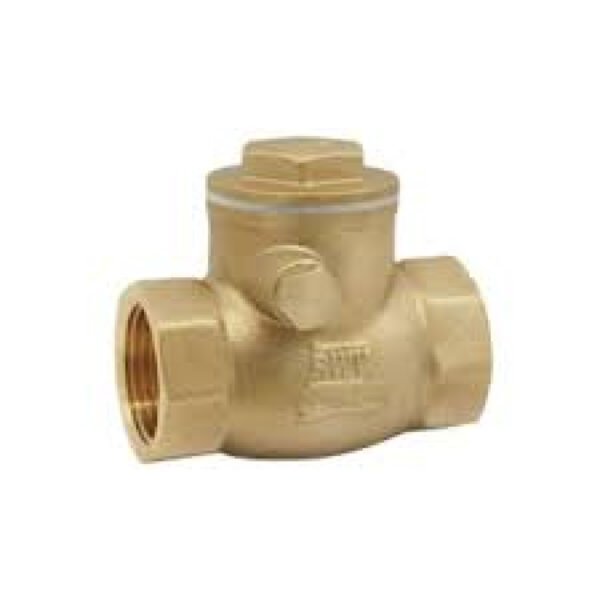 1-1/4 in. FIP x 1-1/4 in. FIP Lead Free Brass Swing Check Valve