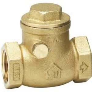 2 in. FIP x 2 in. FIP Lead Free Brass Swing Check Valve