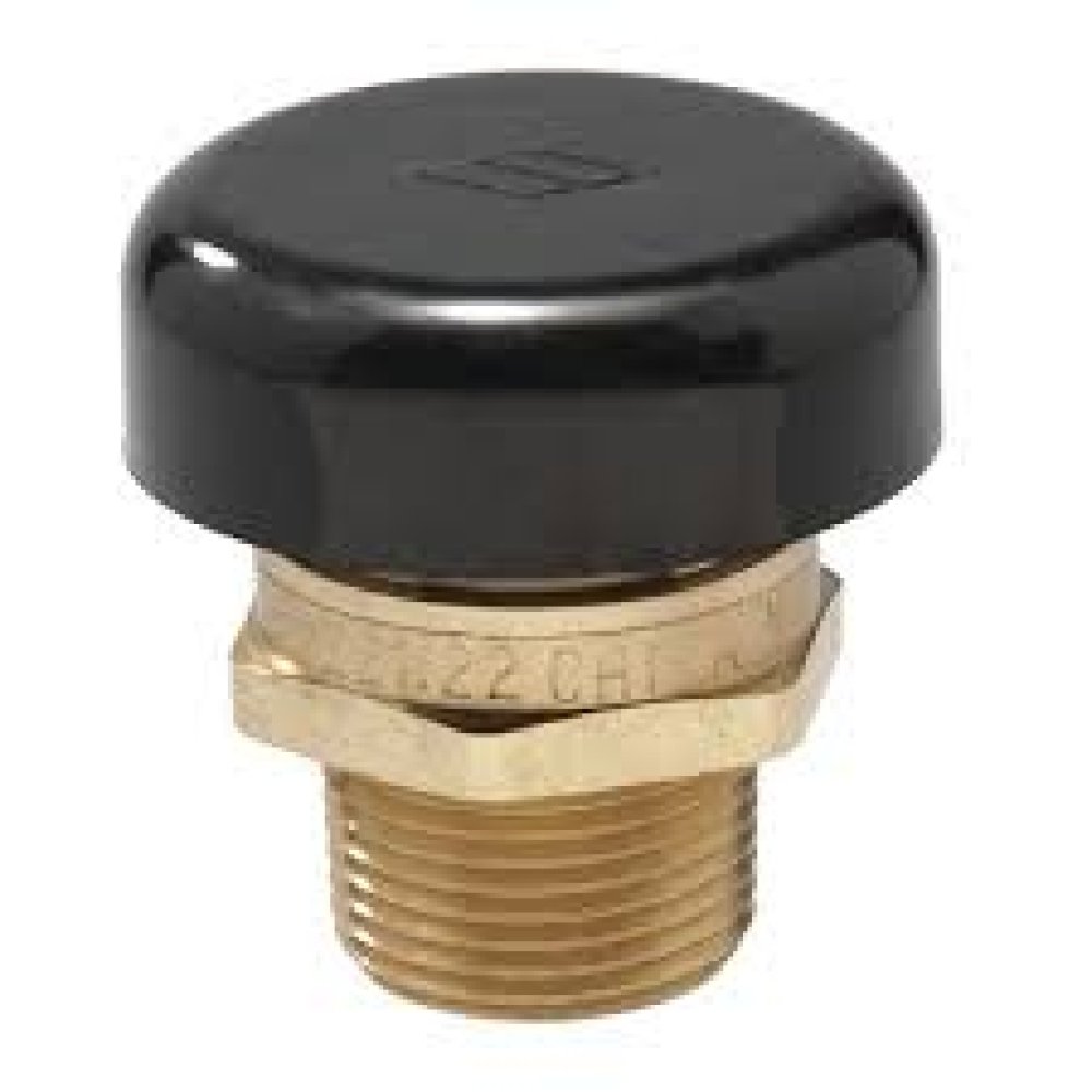 3/4 IN Lead Free Brass Vacuum Relief Valve, Male NPT, Protective Cap 0556031