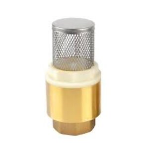 FOOT VALVE 1 BRASS