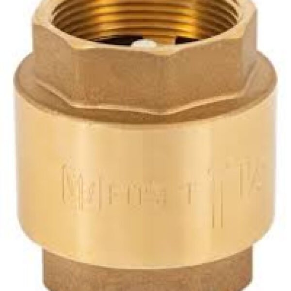 Spring check valve, brass 2'' - FC Plumbing Supply | Plumbing Fixtures ...