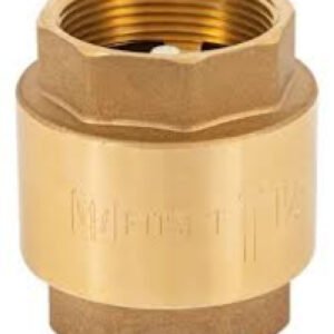 Sping check valve, brass 1''