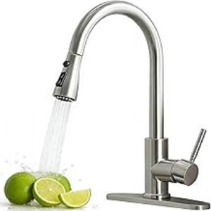 Seasons Westwind Single-Handle Pull Down Kitchen Faucet, Chrome 1.8 GPM